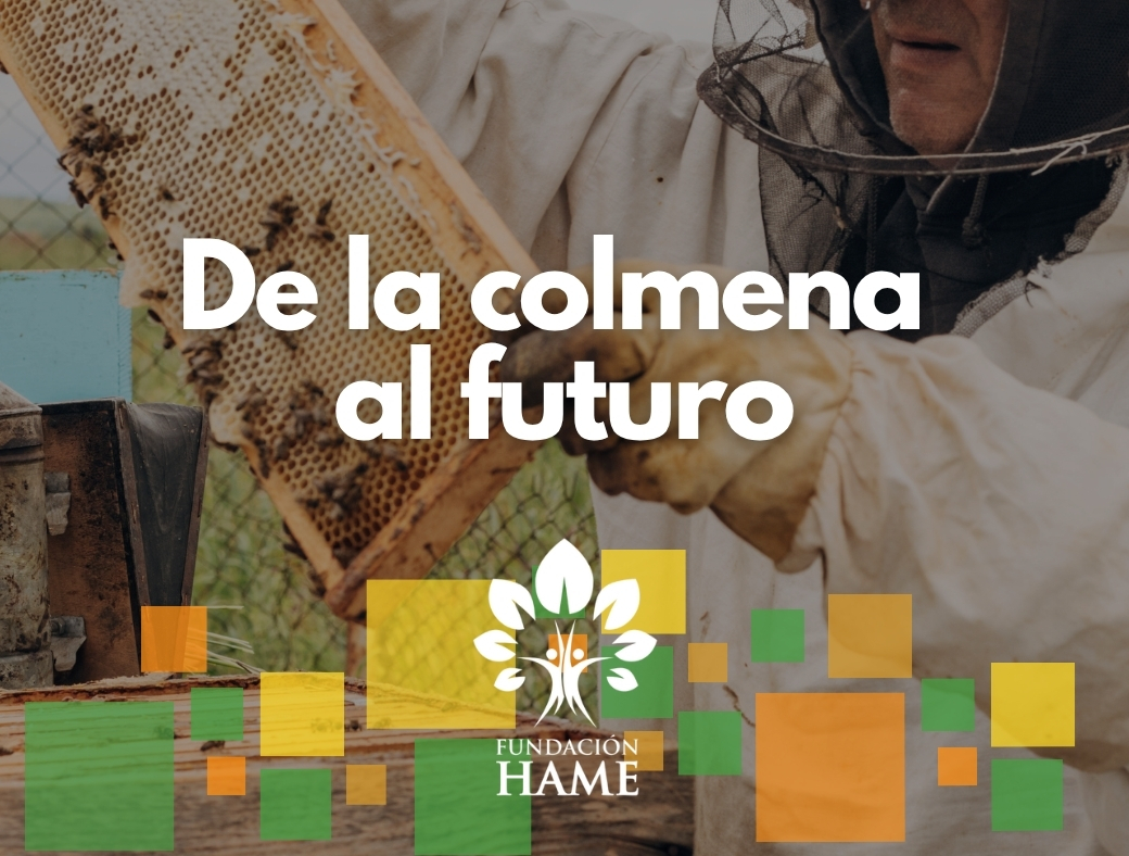 De la colmena al futuro: grandes oportunidades que nacen en Petén